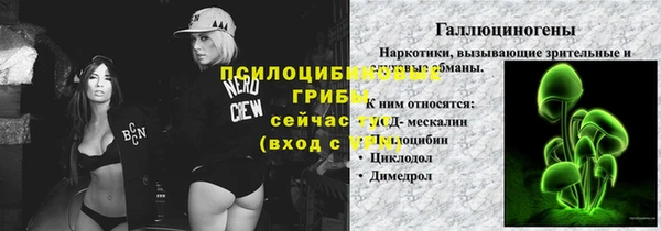 дмт Аркадак